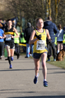 Senior women and vets women and men, 2018 Royal Signals NECAA Road Relays, Hetton. Photo: David T. Hewitson/Sports for All Pics